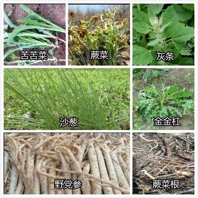 640 (6)_看图王.web.jpg